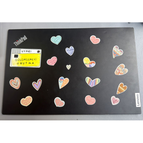 LENOVO THİNKPAD E15-G2 LCD COVER ARKA PLAN İKİNCİ EL